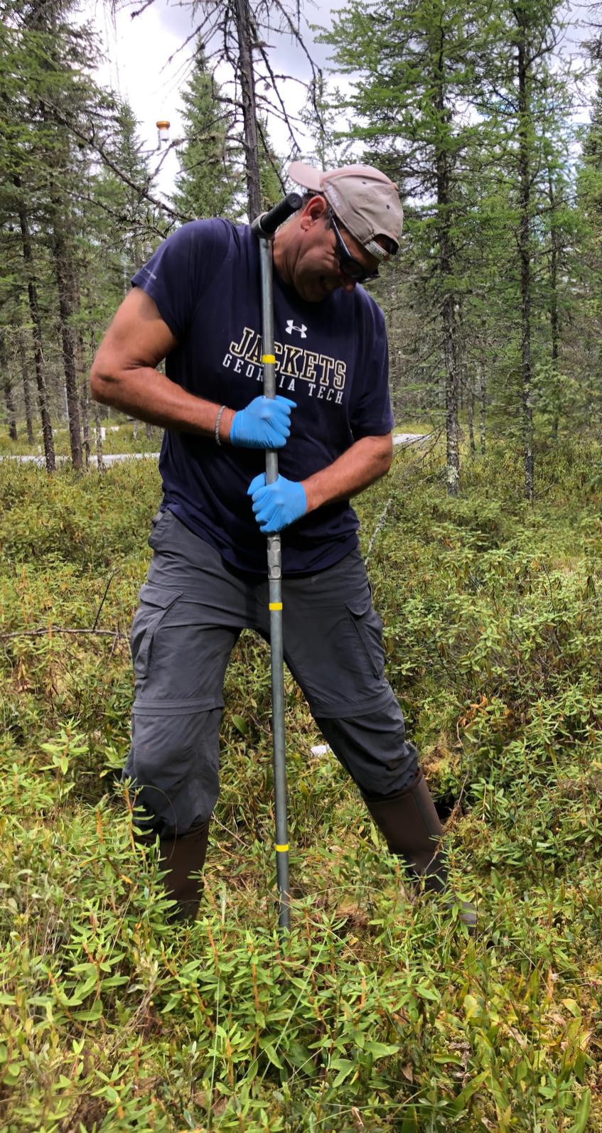 Joel Kostka takes soil samples at the SPRUCE facility in Minnesota.