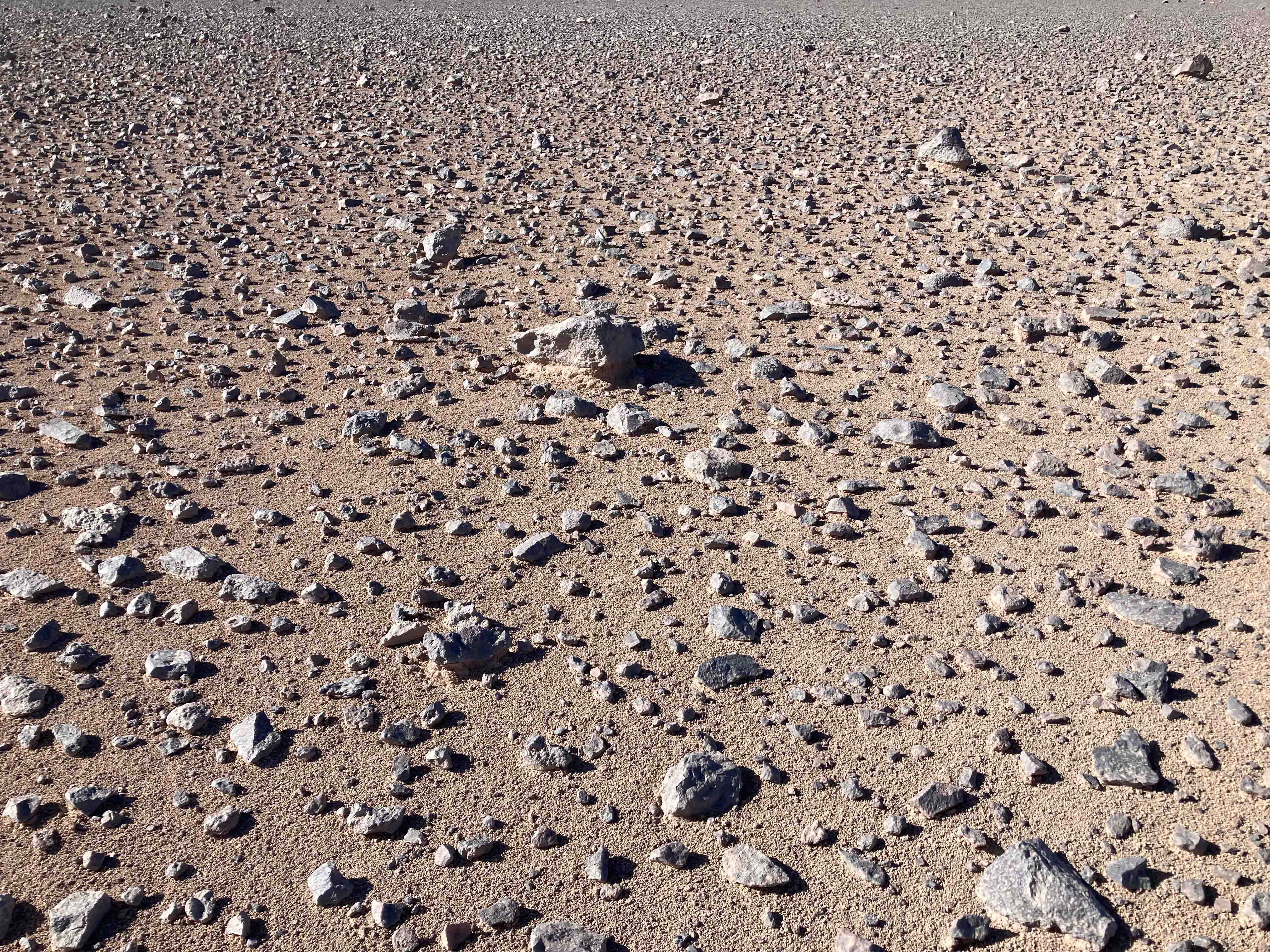 Scattered rocks across the dry desert floor.