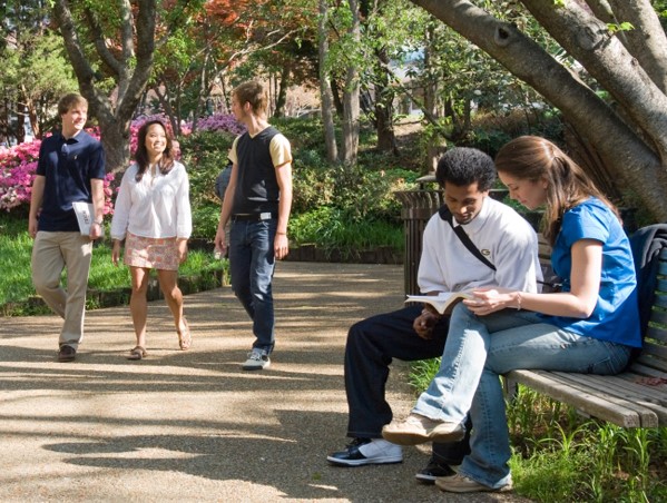 students walking and sitting in the park walk