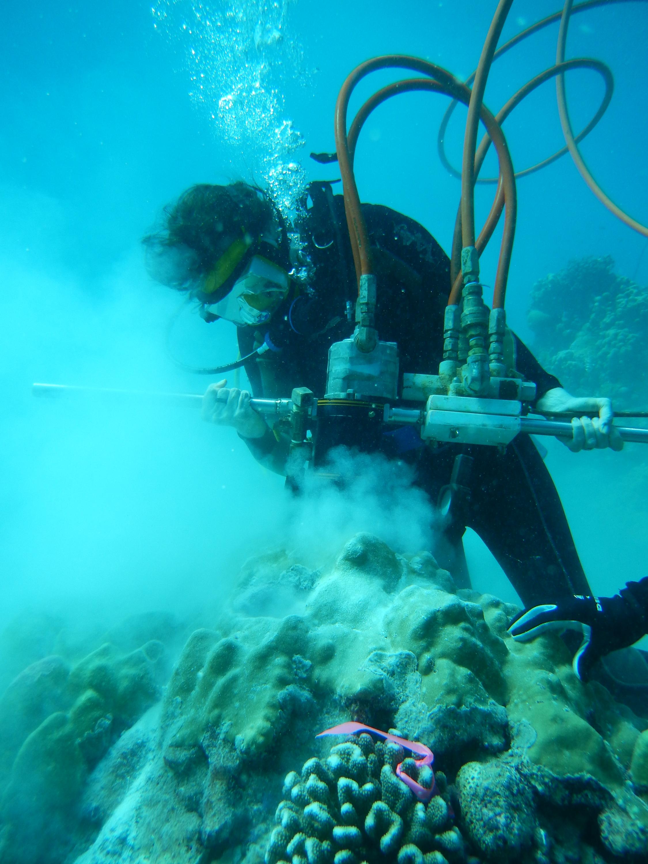 Kim Cobb drills corals underwater in the tropical Pacific