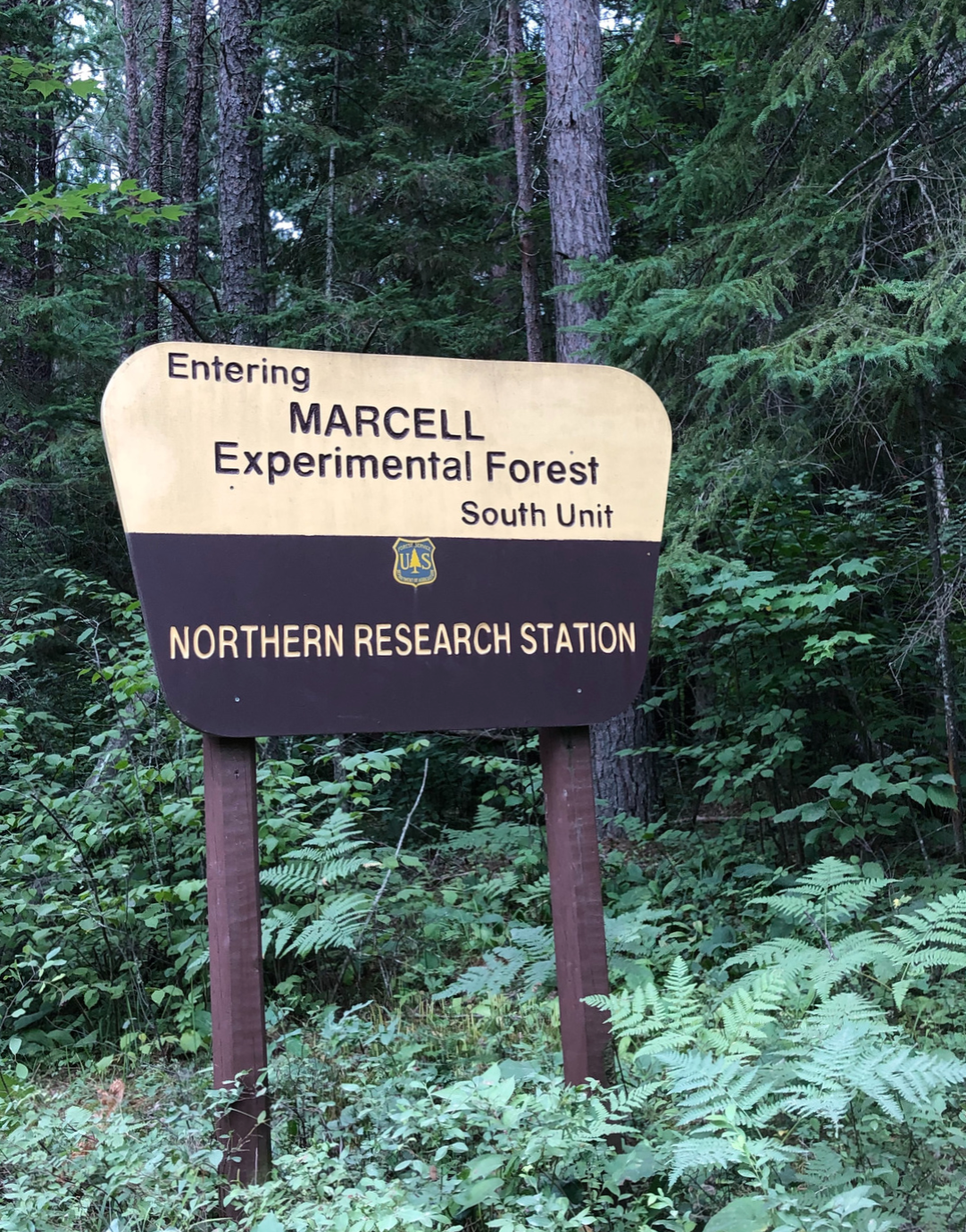 The entrance to Marcell Experimental Forest, part of the SPRUCE facility shared by the Oak Ridge National Laboratory and the U.S. Forest Service. (Photo Joel Kostka)
