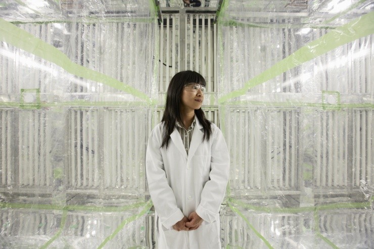 Sally Ng in her indoor environmental chamber 