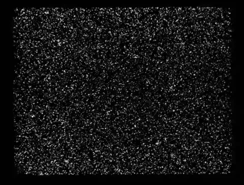 A fluid dynamics experiment shows small fluorescent particles carried along by the flow. The particles represent the types of data used in the School of Physics study. (Credit: Roman Grigoriev)