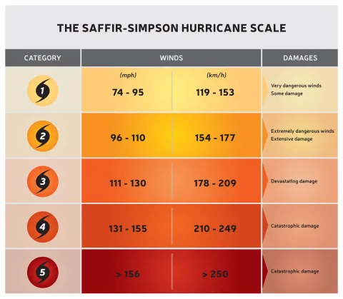 AdobeStock_287907491.jpeg AdobeStock_287907491.jpeg