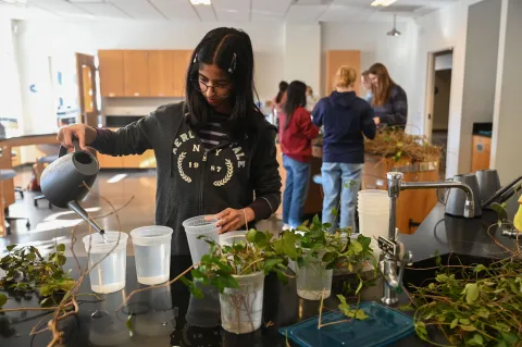 Students participate in the Plant Library.