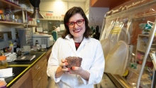 Jennifer Glass in her lab at Georgia Tech. She is holding a stromatolitic ironstone full of iron that rusted out of early oceans. An eon ago, oceans appear to have been full of ferrous iron, which would have facilitated production of N2O (laughing gas).