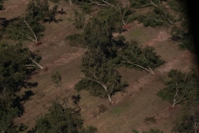 Hurricane Michael razed farmland across south Georgia in October. (Courtesy of Georgia Department of Agriculture) Hurricane Michael razed farmland across south Georgia in October. (Courtesy of Georgia Department of Agriculture)
