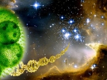 Life in the Universe (Image by NASA) Life in the Universe (Image by NASA)