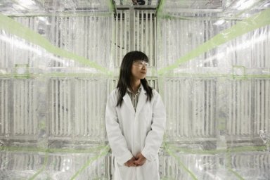 Sally Ng in her indoor environmental chamber