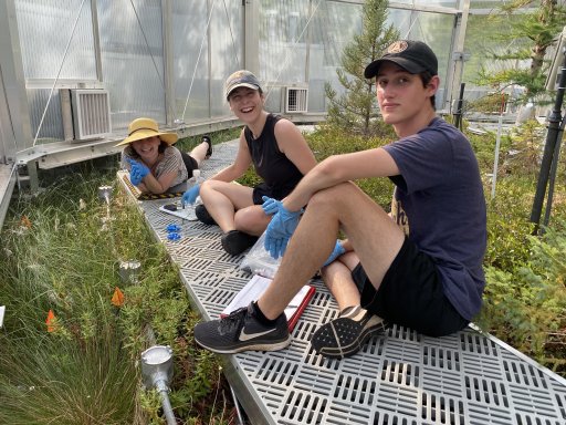 Postdoctoral Researcher Caitlin Petro, PhD student Katherine Duchesneau, and undergraduate student Sekou Noble-Kuchera in a SPRUCE chamber.