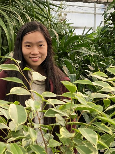 Image of Amy Weng